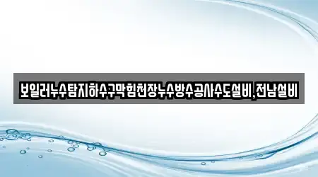 보일러누수탐지하수구막힘천장누수방수공사수도설비,전남설비