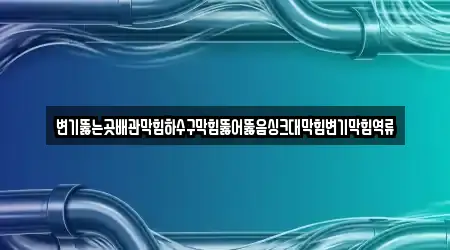 변기뚫는곳배관막힘하수구막힘뚫어뚫음싱크대막힘변기막힘역류