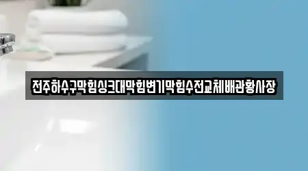 전주하수구막힘싱크대막힘변기막힘수전교체배관황사장