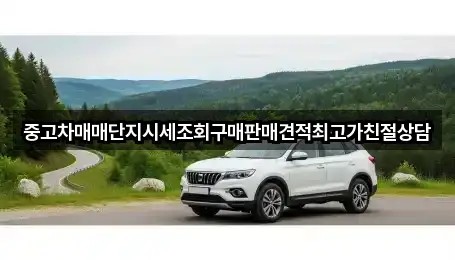 중고차매매단지시세조회구매판매견적최고가친절상담
