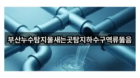 부산누수탐지물새는곳탐지하수구역류뚫음