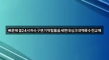 빠른해결24시하수구변기막힘뚫음세면대싱크대역류수전교체