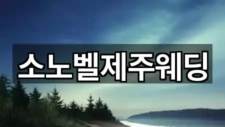 제주 제주시 조천읍 웨딩홀 3곳 지도 빠르게