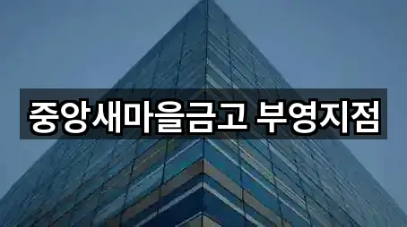 중앙새마을금고 부영지점