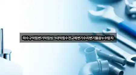 하수구막힘변기막힘씽크대막힘수전교체변기수리변기뚫음누수탐지