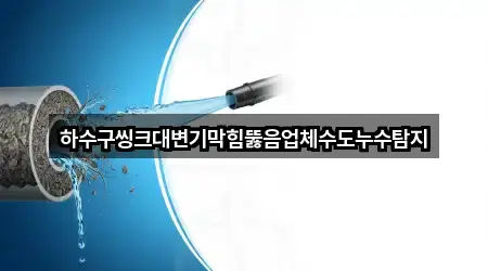 하수구씽크대변기막힘뚫음업체수도누수탐지