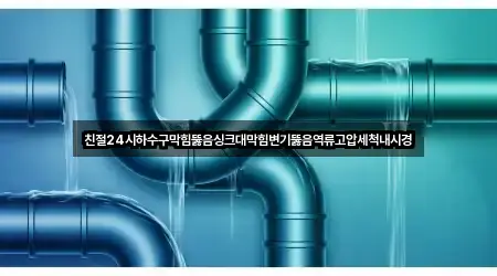 친절24시하수구막힘뚫음싱크대막힘변기뚫음역류고압세척내시경