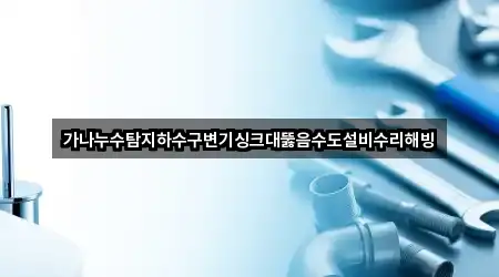 가나누수탐지하수구변기싱크대뚫음수도설비수리해빙