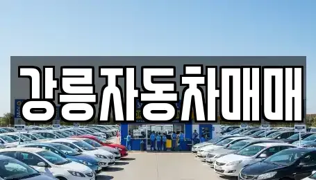 강원 강릉시 구정면 중고차 전문 강릉자동차매매