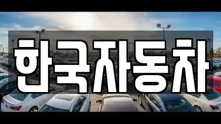 강원 강릉시 구정면 중고차 전문 한국자동차