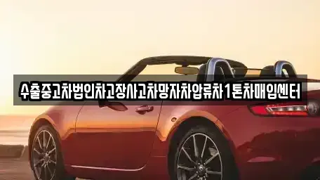 강원 강릉시 구정면 중고차매입 전문 수출중고차법인차고장사고차망자차압류차1톤차매입센터