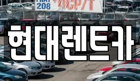 강원 강릉시 두산동 렌트카 전문 현대렌트카
