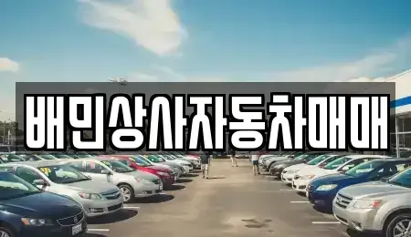 강원 강릉시 두산동 중고차매매 전문 배민상사자동차매매