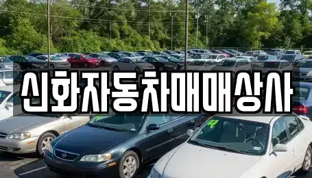 강원 강릉시 두산동 중고차매매 전문 신화자동차매매상사