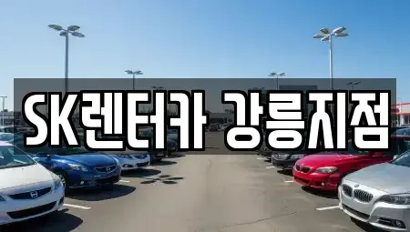 강원 강릉시 사천면 장기렌트카 전문 SK렌터카 강릉지점