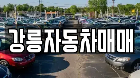 강원 강릉시 사천면 중고차매매 전문 강릉자동차매매