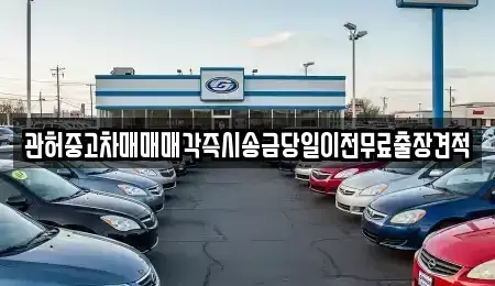 강원 강릉시 사천면 중고차매매 전문 관허중고차매매매각즉시송금당일이전무료출장견적