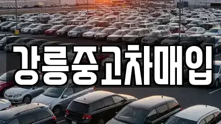 강원 강릉시 사천면 단기렌트카,중고차매입,중고차매매,중고차,렌트카,장기렌트카