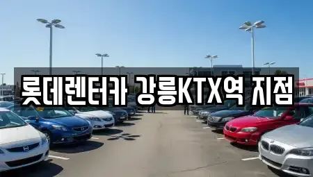 강원 강릉시 성남동 렌트카 전문 롯데렌터카 강릉KTX역 지점