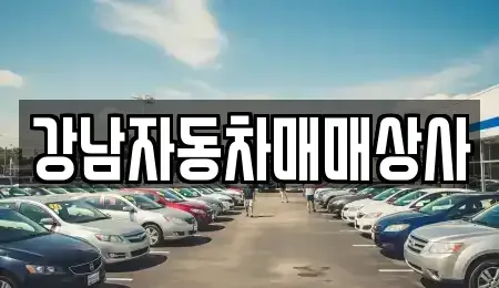 강원 강릉시 성남동 중고차매매 전문 강남자동차매매상사