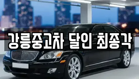 강원 강릉시 성남동 중고차매매 전문 강릉중고차 달인 최종각