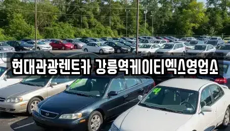 강원 강릉시 성내동 렌트카 전문 현대관광렌트카 강릉역케이티엑스영업소