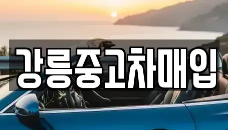 강원 강릉시 성내동 중고차매매 전문 강릉중고차매입