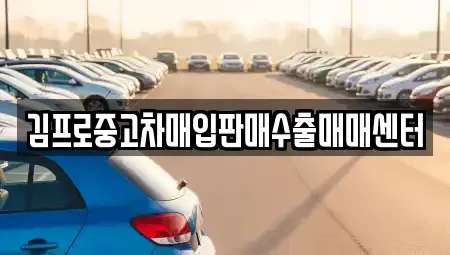 강원 강릉시 성내동 중고차매매 전문 김프로중고차매입판매수출매매센터