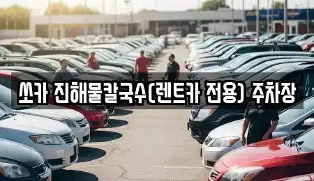 강원 삼척시 원당동 렌트카 전문 쏘카 진해물칼국수(렌트카 전용) 주차장