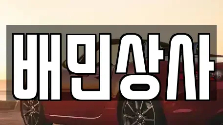 강원 삼척시 원당동 중고차 전문 배민상사