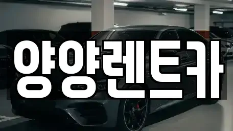 강원 양양군 서면 렌트카 전문 양양렌트카