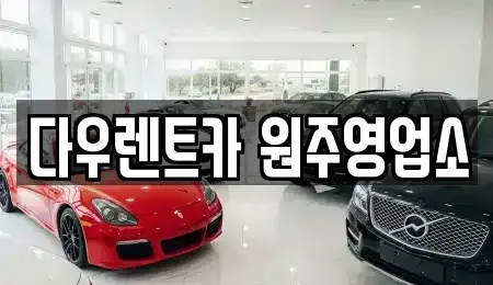강원 원주시 무실동 렌트카 전문 다우렌트카 원주영업소