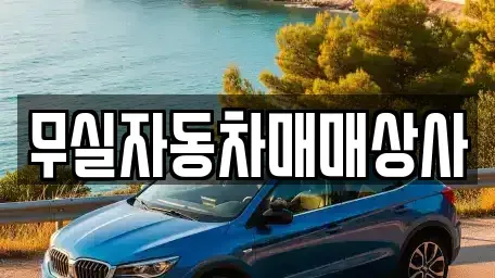 강원 원주시 무실동 중고차매매 전문 무실자동차매매상사