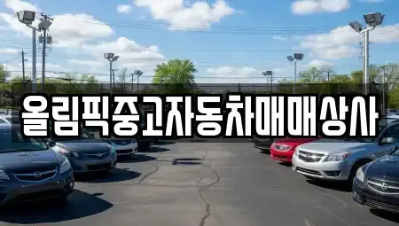 강원 원주시 무실동 중고차매매 전문 올림픽중고자동차매매상사