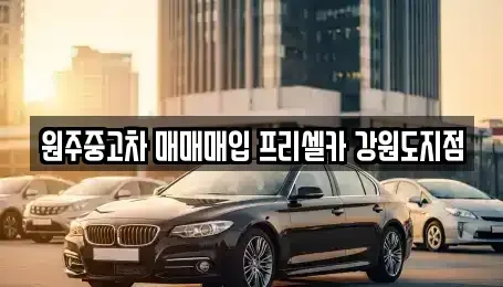 강원 원주시 무실동 중고차매매 전문 원주중고차 매매매입 프리셀카 강원도지점
