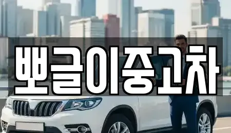 강원 정선군 고한읍 중고차매매 전문 뽀글이중고차