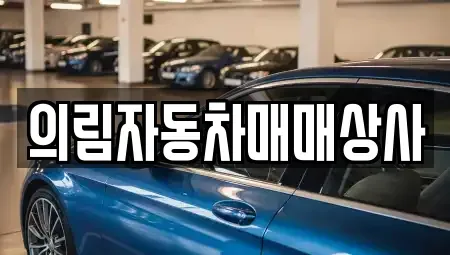 강원 정선군 신동읍 장기렌트카,중고차,렌트카,단기렌트카,중고차매입,중고차매매