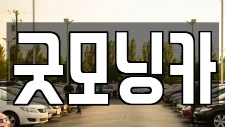 강원 춘천시 소양로4가 중고차 전문 굿모닝카