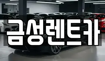 강원 춘천시 칠전동 렌트카 전문 금성렌트카