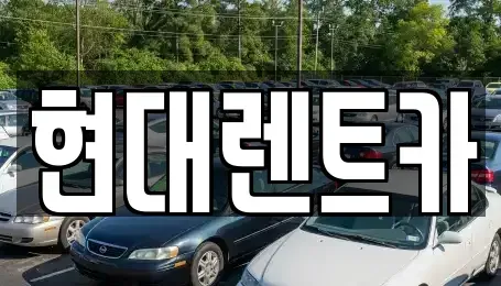 강원특별자치도 강릉시 송정동 렌트카 전문 현대렌트카