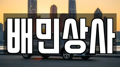 강원특별자치도 강릉시 송정동 중고차 전문 배민상사
