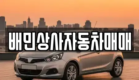 강원특별자치도 강릉시 송정동 중고차 전문 배민상사자동차매매