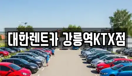 강원특별자치도 강릉시 용강동 렌트카 전문 대한렌트카 강릉역KTX점