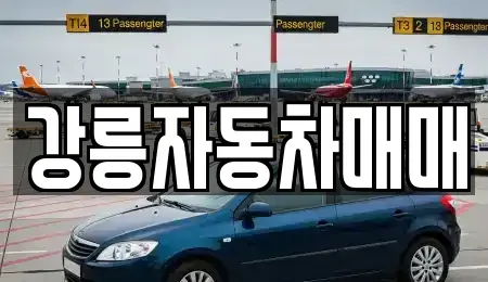 강원특별자치도 강릉시 용강동 중고차 전문 강릉자동차매매