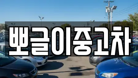 강원특별자치도 고성군 간성읍 중고차 전문 뽀글이중고차