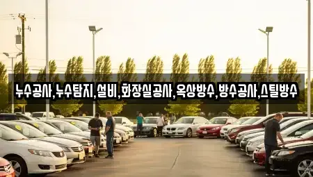 강원특별자치도 고성군 간성읍 중고차매입 전문 누수공사,누수탐지,설비,화장실공사,옥상방수,방수공사,스틸방수
