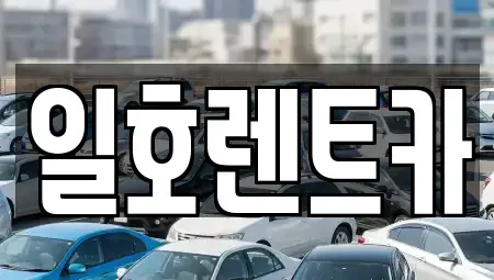 강원특별자치도 속초시 영랑동 렌트카 전문 일호렌트카