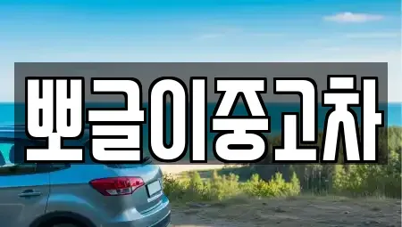 강원특별자치도 속초시 영랑동 중고차매매 전문 뽀글이중고차