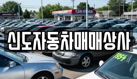 강원특별자치도 속초시 영랑동 중고차매매 전문 신도자동차매매상사