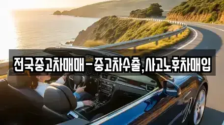 강원특별자치도 속초시 영랑동 단기렌트카,중고차매입,중고차매매,중고차,렌트카,장기렌트카